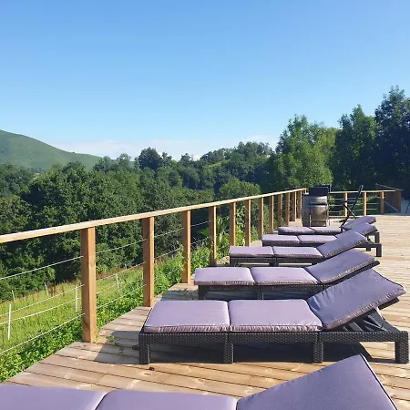 Etche Arguinia Hotes Et Bed & Breakfast Montory