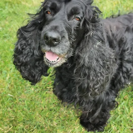 Etche Arguinia Hotes Et Montory