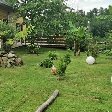 Etche Arguinia Hotes Et Montory