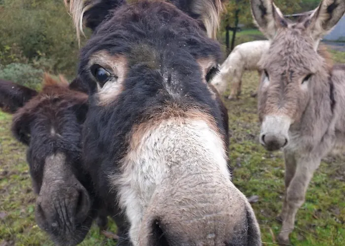 Etche Arguinia Hotes Et 3* Montory
