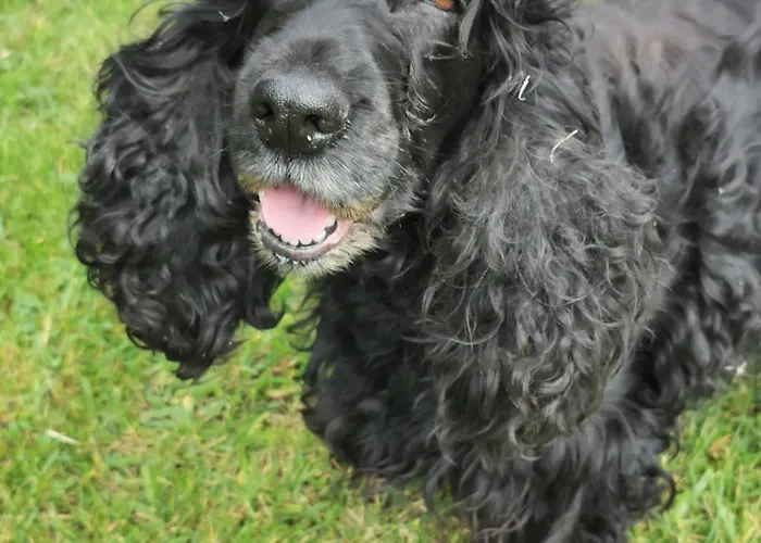 Etche Arguinia Hotes Et Montory