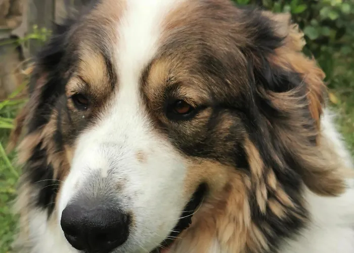 Etche Arguinia Hotes Et Bed & Breakfast